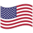 USA FLAG